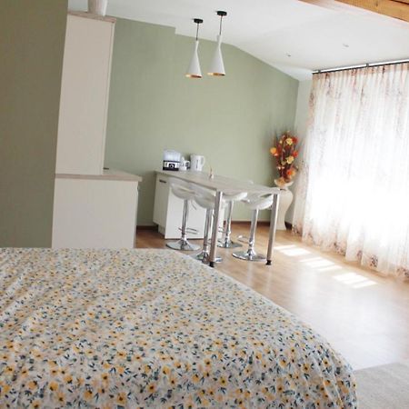 Saint Etienne : Appartement Chateaucreux 40 M2 외부 사진