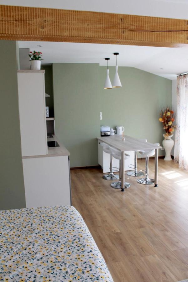 Saint Etienne : Appartement Chateaucreux 40 M2 외부 사진