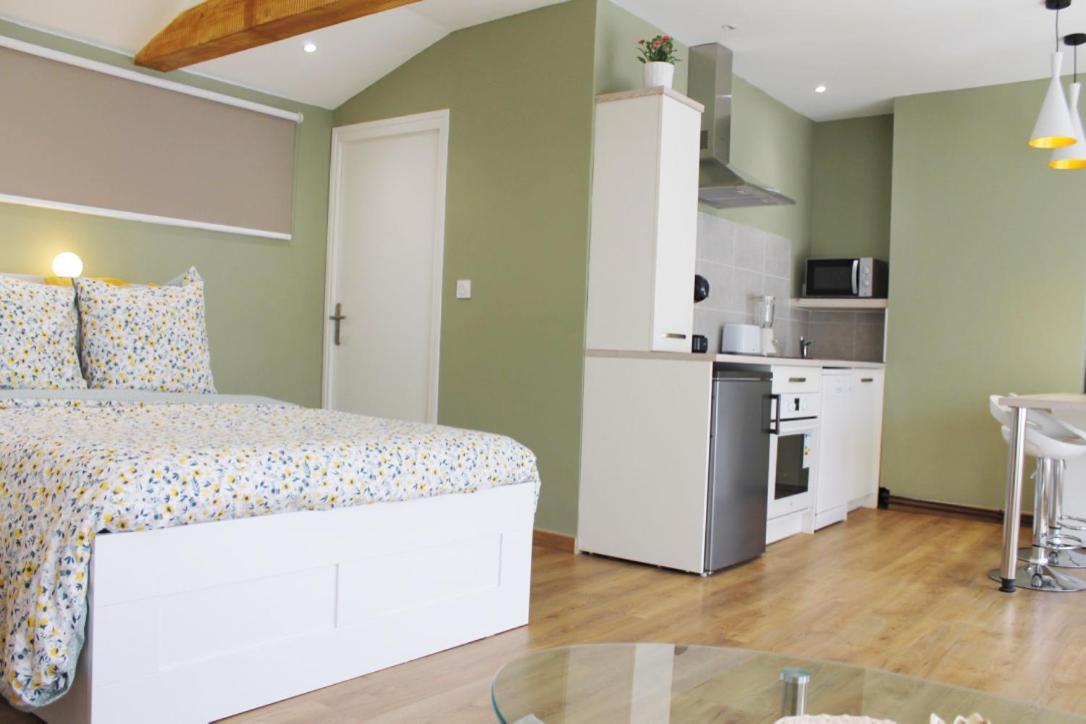 Saint Etienne : Appartement Chateaucreux 40 M2 외부 사진