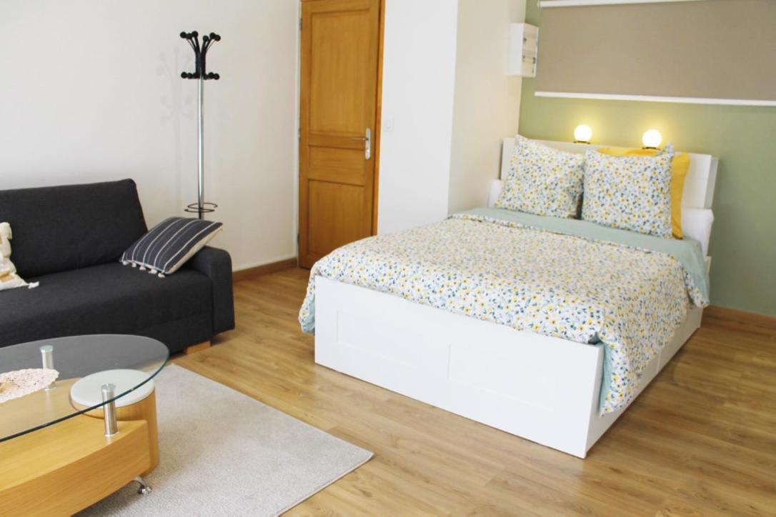 Saint Etienne : Appartement Chateaucreux 40 M2 외부 사진