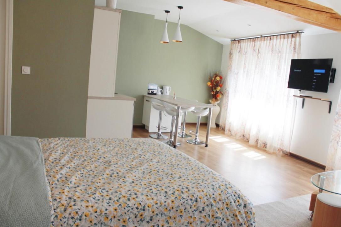 Saint Etienne : Appartement Chateaucreux 40 M2 외부 사진