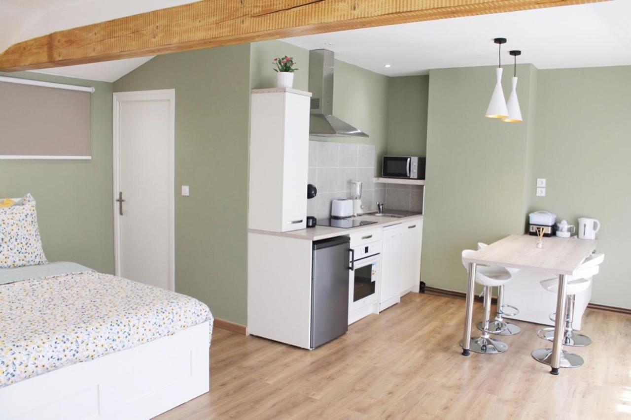 Saint Etienne : Appartement Chateaucreux 40 M2 외부 사진