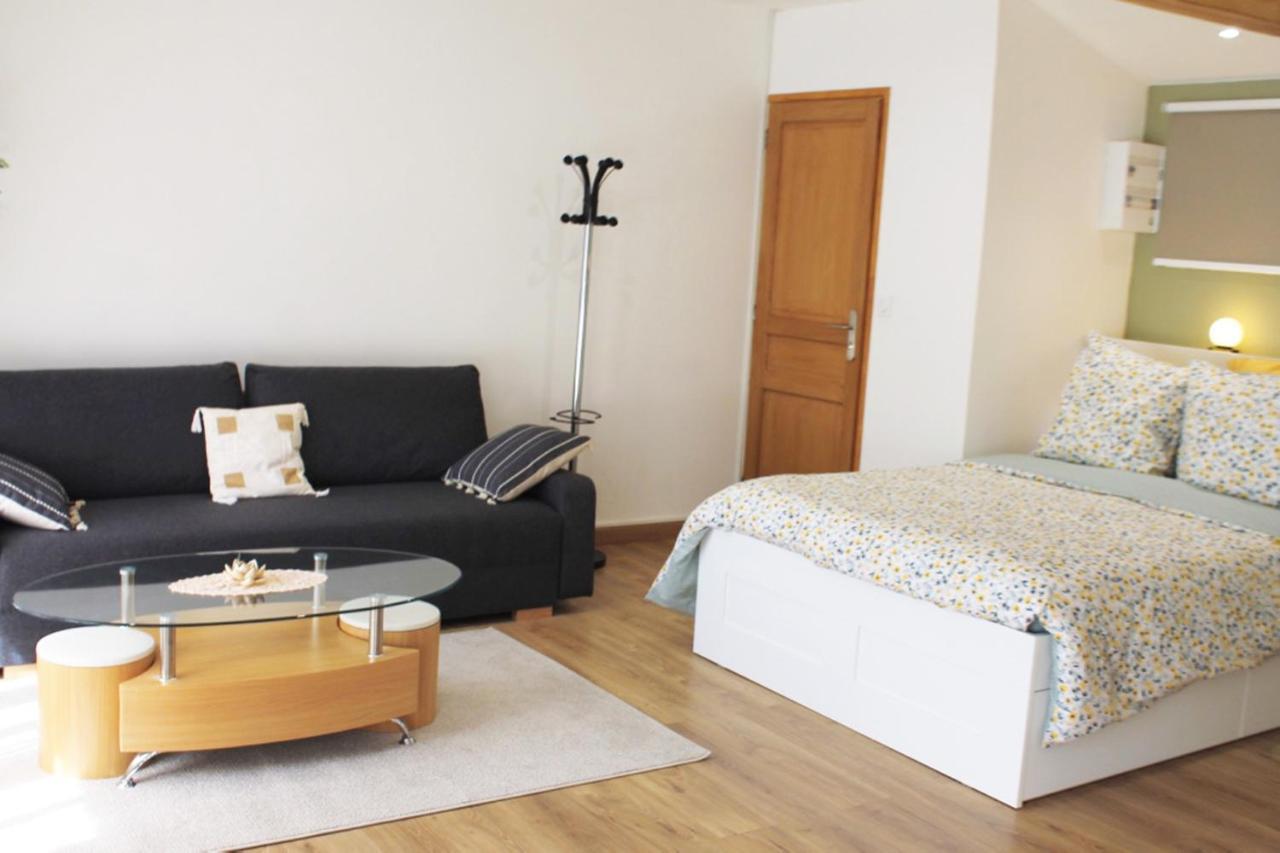 Saint Etienne : Appartement Chateaucreux 40 M2 외부 사진